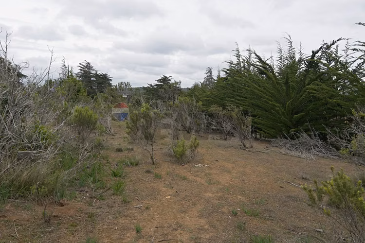 Inversión y calidad de vida en algarrobo - Imagen 22