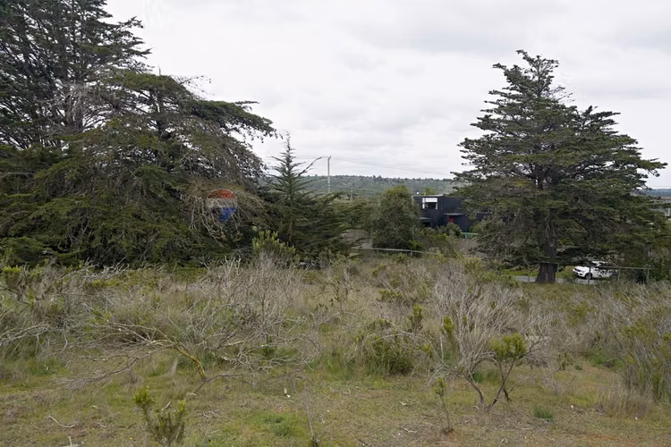 Inversión y calidad de vida en algarrobo - Imagen 20