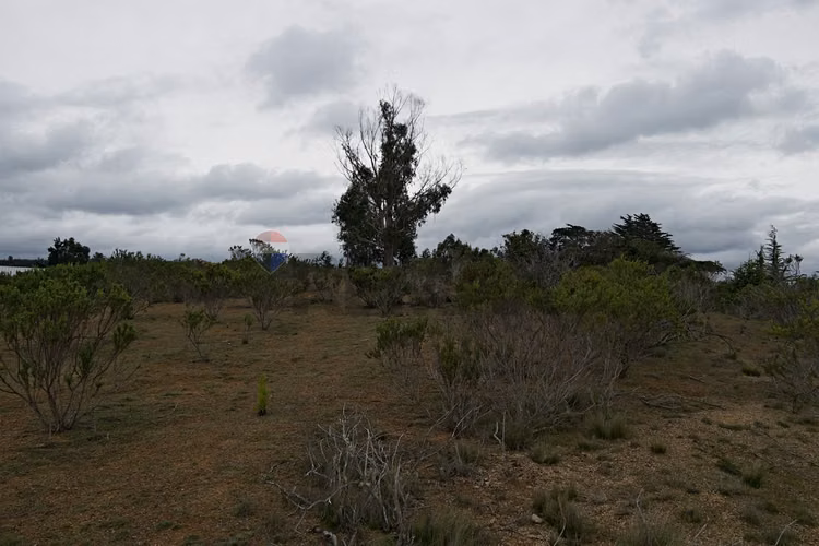 Inversión y calidad de vida en algarrobo - Imagen 15