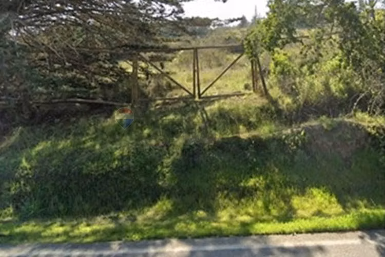 Inversión y calidad de vida en algarrobo - Imagen 8