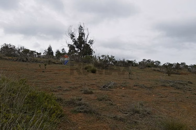 Inversión y calidad de vida en algarrobo - Imagen 19