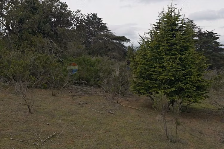 Inversión y calidad de vida en algarrobo - Imagen 14