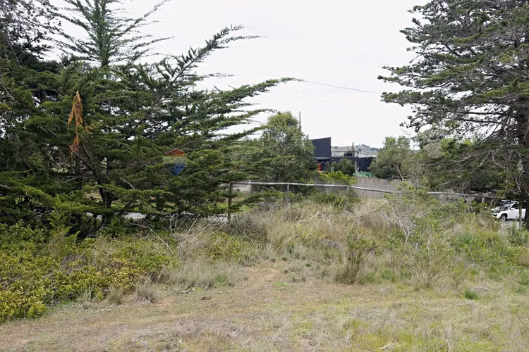 Inversión y calidad de vida en algarrobo - Imagen 11