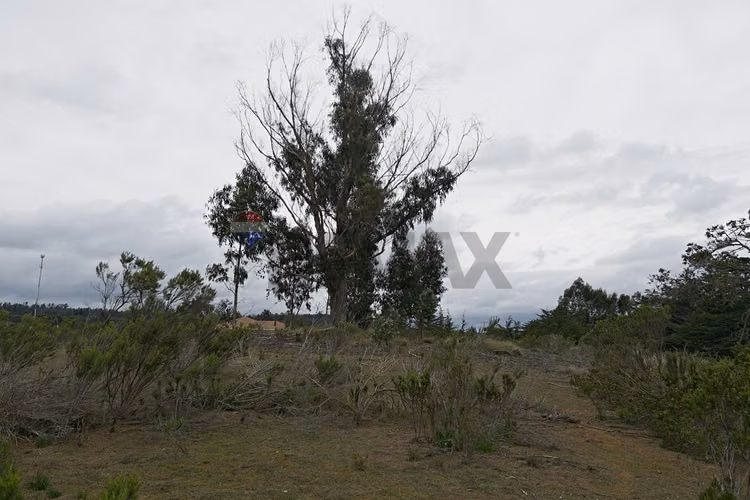 Inversión y calidad de vida en algarrobo - Imagen 23