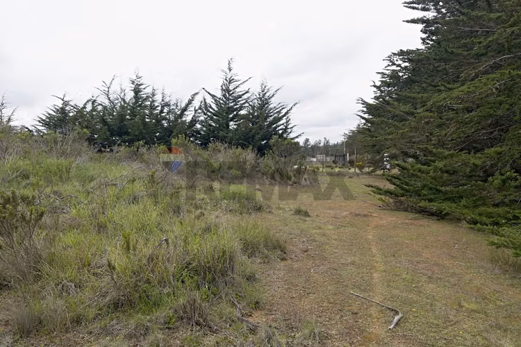 Inversión y calidad de vida en algarrobo - Imagen 26