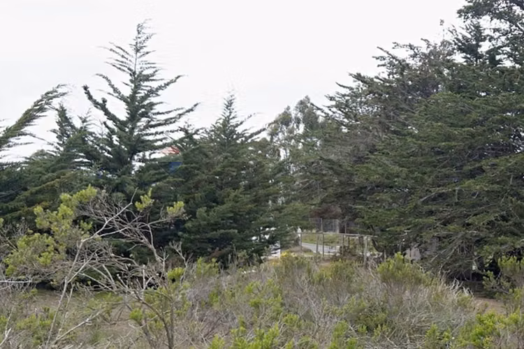 Inversión y calidad de vida en algarrobo - Imagen 6