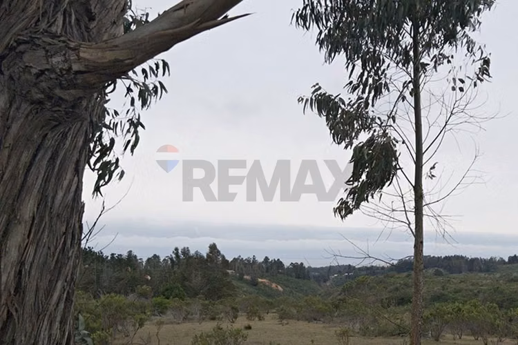 Inversión y calidad de vida en algarrobo - Imagen 7