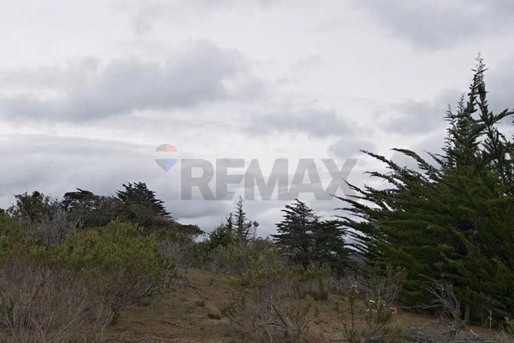 Inversión y calidad de vida en algarrobo - Imagen 13