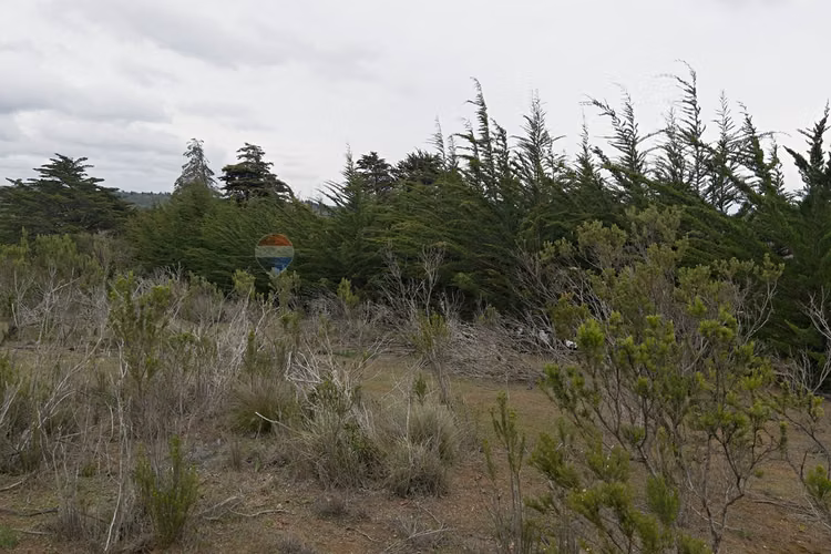 Inversión y calidad de vida en algarrobo - Imagen 27