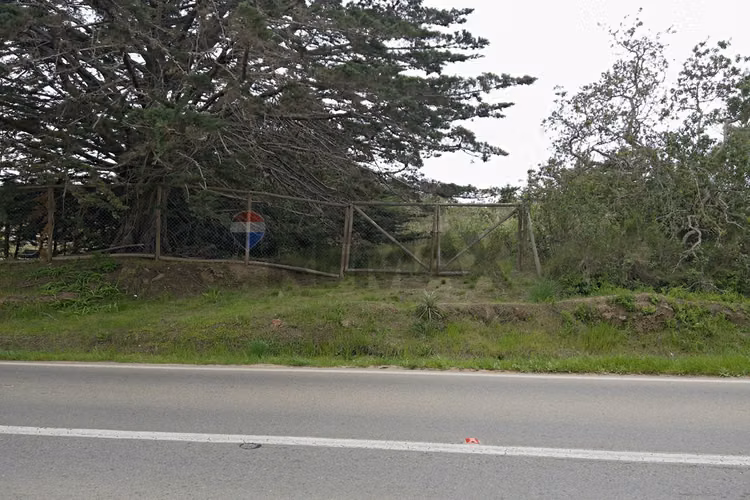 Inversión y calidad de vida en algarrobo - Imagen 5