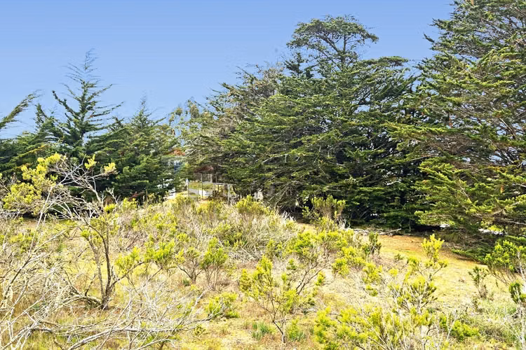 Inversión y calidad de vida en algarrobo - Imagen 2