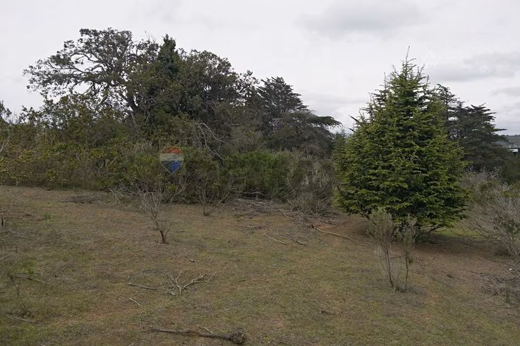 Inversión y calidad de vida en algarrobo - Imagen 12