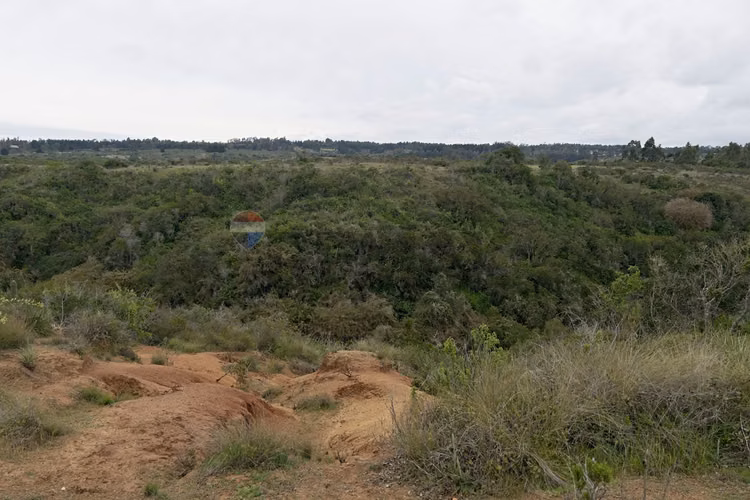 Inversión y calidad de vida en algarrobo - Imagen 9