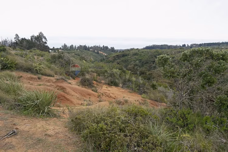 Inversión y calidad de vida en algarrobo - Imagen 25