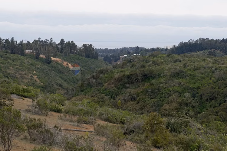Inversión y calidad de vida en algarrobo - Imagen 17