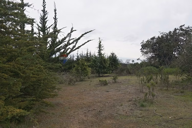 Inversión y calidad de vida en algarrobo - Imagen 21