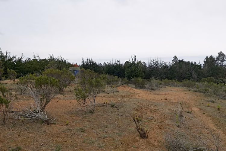 Inversión y calidad de vida en algarrobo - Imagen 18