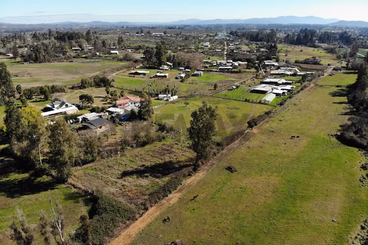 Parcela agricola 9,7 ha. culipran, melipilla - Imagen 7
