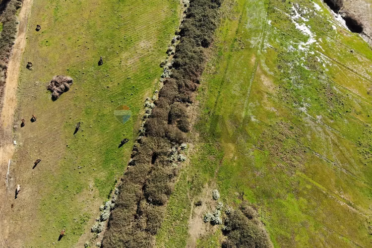 Parcela agricola 9,7 ha. culipran, melipilla - Imagen 10