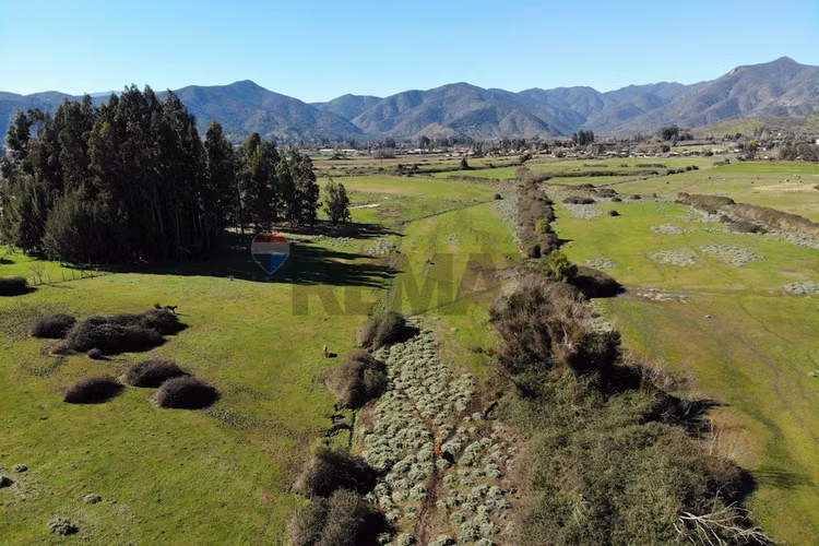 Parcela agricola 9,7 ha. culipran, melipilla - Imagen 15