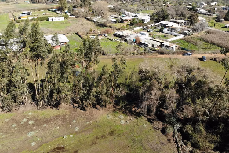 Parcela agricola 9,7 ha. culipran, melipilla - Imagen 8