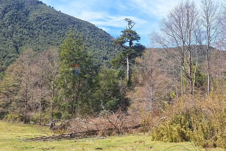 Terreno soñado en pucón huerquehue