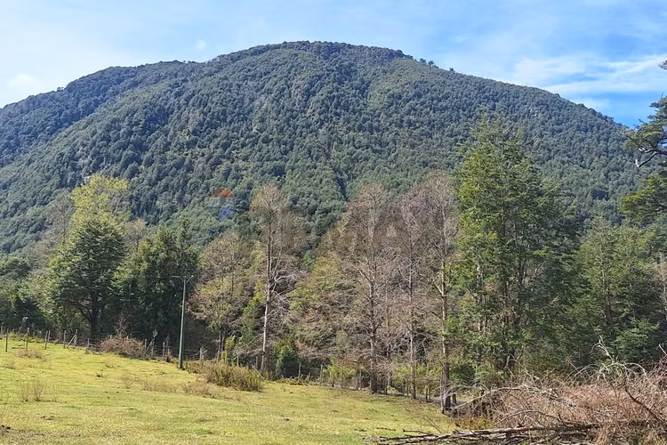 Terreno soñado en pucón huerquehue