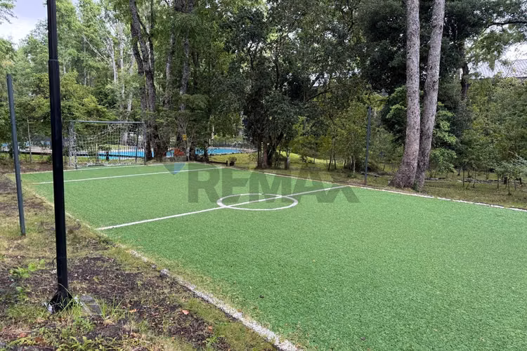 En venta depto. 1 dormitorio 1 baño en pucón - Imagen 16