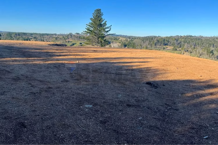 Terreno en quillón: ¡5000 m² te esperan! - Imagen 16