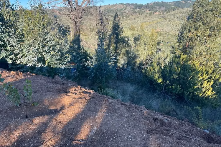 Terreno en quillón: ¡5000 m² te esperan! - Imagen 22