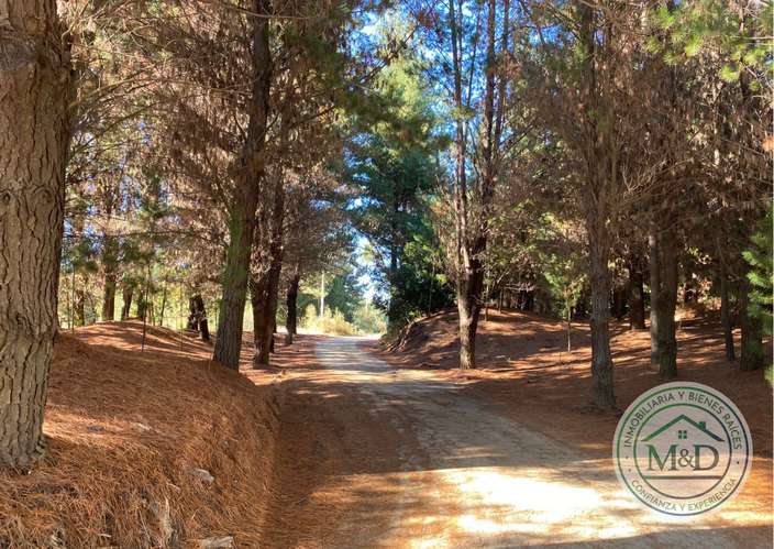 PARCELA EN HUALQUI 1939M2 ROL PROPIO Y LUZ