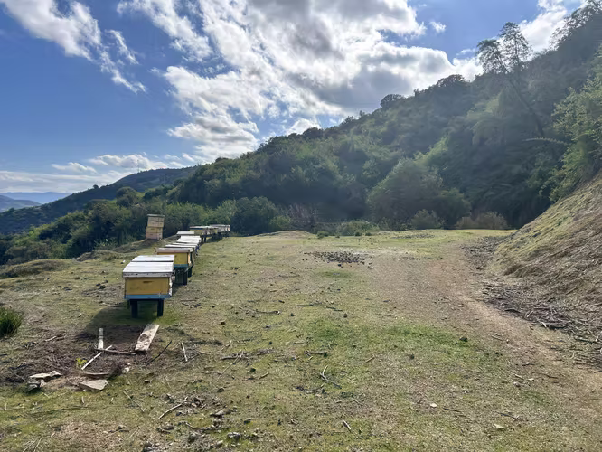 VENTA TERRENO, PARA INVERSIÓN EN LA LAJUELA, STA CRUZ
