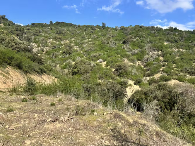 VENTA TERRENO, PARA INVERSIÓN EN LA LAJUELA, STA CRUZ