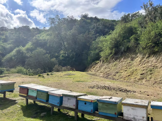 VENTA TERRENO, PARA INVERSIÓN EN LA LAJUELA, STA CRUZ