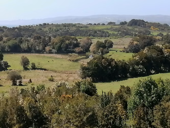 Terreno con vista, 11700mt2 a 19km de Ancud
