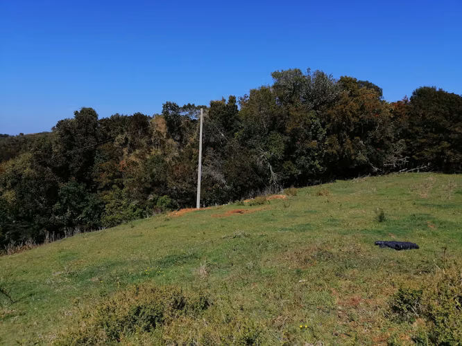 Terreno con vista, 11700mt2 a 19km de Ancud