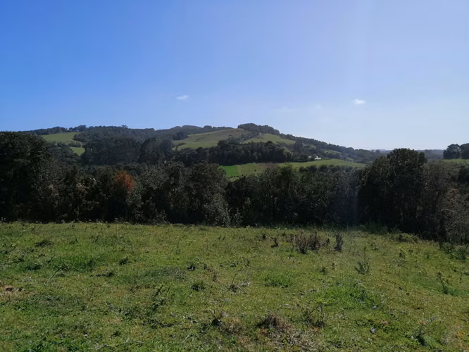 Terreno con vista, 11700mt2 a 19km de Ancud