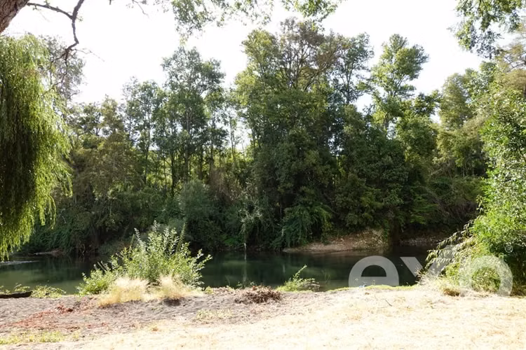 Casa con parcela agroresidencial en venta, Vilcún, Niágara - Imagen 14