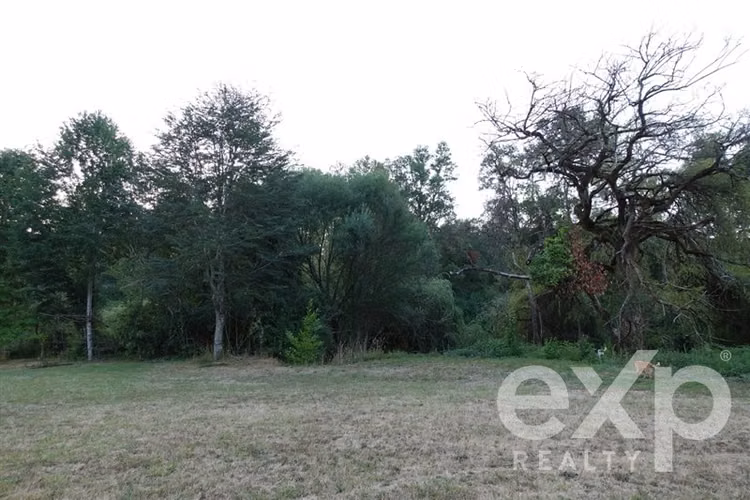 Parcela agroresidencial con casa 3d 2b en venta en Vilcún, - Imagen 9