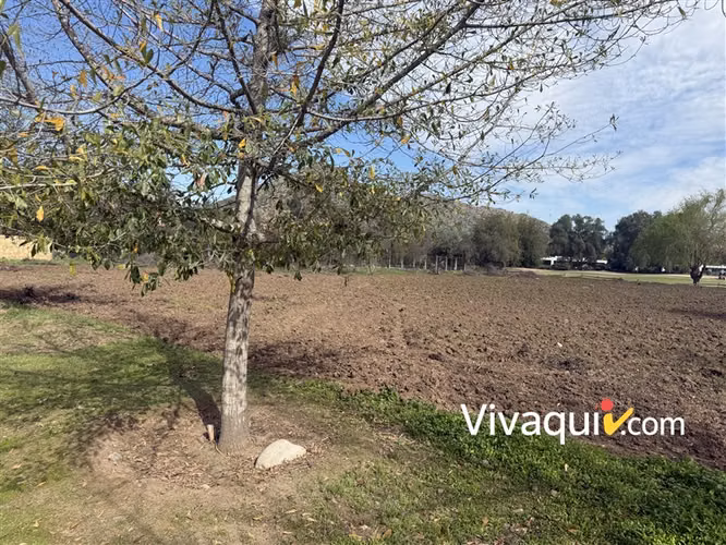 Sitio en venta en Colina