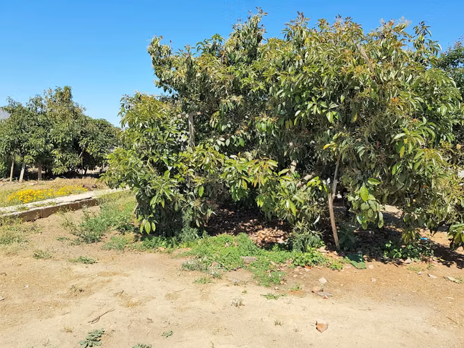 Venta de terreno urbano, en Villa Alemana, de 4.800 m2. – gran oportunidad para INMOBILIARIA. 850 M$