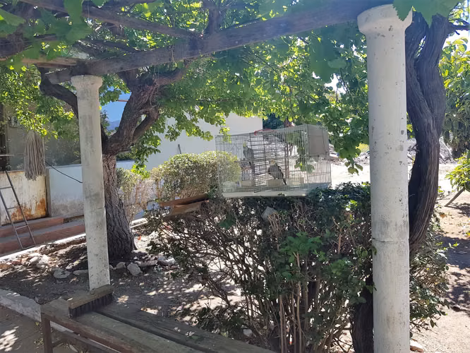 Venta de terreno urbano, en Villa Alemana, de 4.800 m2. – gran oportunidad para INMOBILIARIA. 850 M$