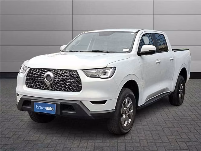 GREAT WALL POER 2024
