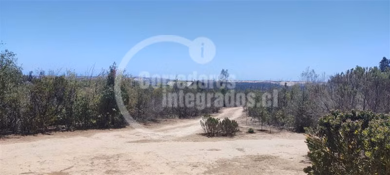 Parcela en venta en Mantagua - Imagen 23