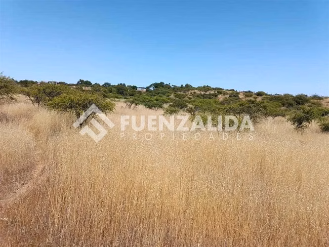 Sitio en venta en Litueche - Imagen 2