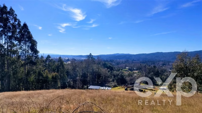 Agrícola en venta en Valdivia - Imagen 29