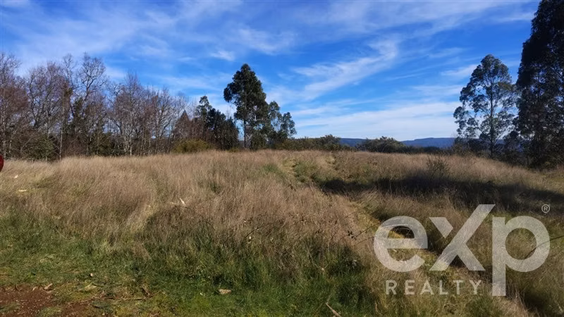 Agrícola en venta en Valdivia - Imagen 28