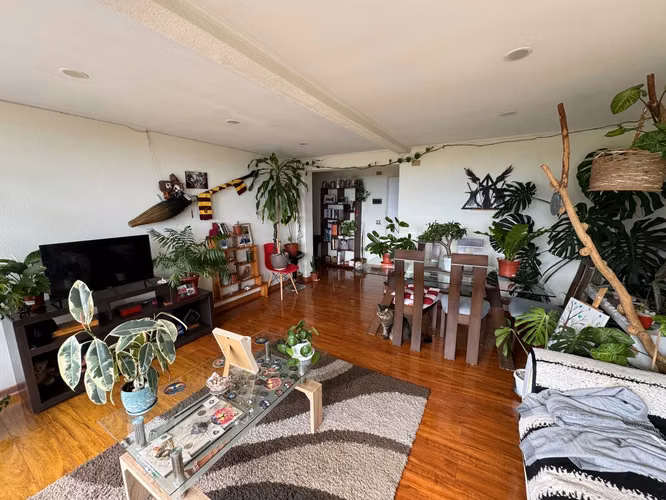 Venta departamento viña del mar
