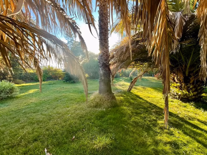 PRECIOSA CASA ESTILO CHILENO REGULARIZADA EN 5900 MTRS URBANO, ALTA PLUSVALÍA - Imagen 16