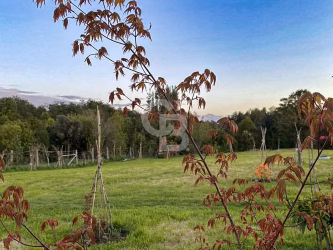 Calidez y encanto natural en Mantilhue, Lago Puyehue